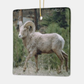 Rocky Mountain Big Horn Sheep Ceramic Ornament (Links)