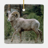 Rocky Mountain Big Horn Sheep Ceramic Ornament (Achterkant)