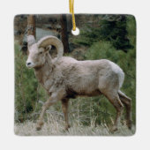 Rocky Mountain Big Horn Sheep Ceramic Ornament (Voorkant)