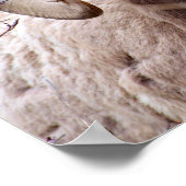 Rocky Mountain Bighorn Sheep Poster (Hoek)