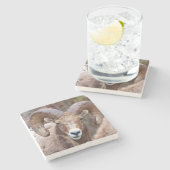 Rocky Mountain Bighorn Sheep Stenen Onderzetter (Zijkant)