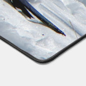 Rocky Mountain Black Billed Magpie Bureaumat (Hoek)