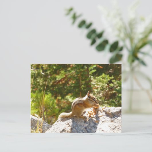 Rocky Mountain Chipmunk Briefkaart (Staand voorkant)