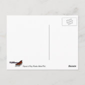 Rocky Mountain Chipmunk Briefkaart (Achterkant)