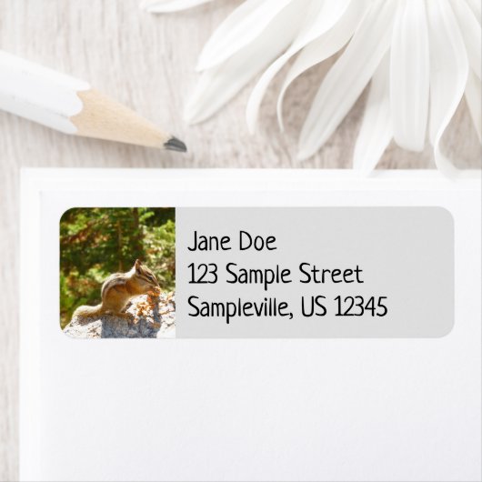 Rocky Mountain Chipmunk Etiket (Insitu)