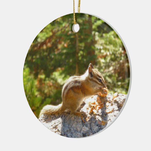 Rocky Mountain Chipmunk Keramisch Ornament (Links)