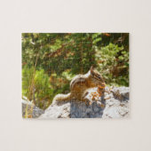 Rocky Mountain Chipmunk Legpuzzel (Horizontaal)