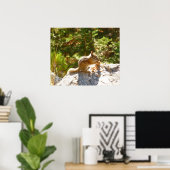 Rocky Mountain Chipmunk Poster (Thuiskantoor)