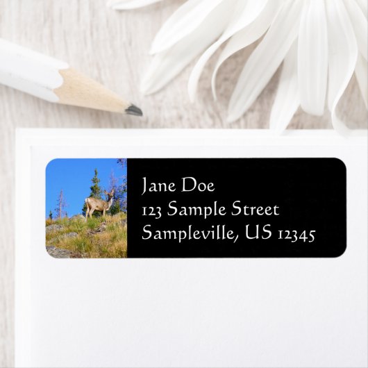 Rocky Mountain Deer Etiket (Insitu)