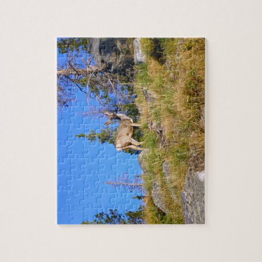Rocky Mountain Deer Legpuzzel (Verticaal)