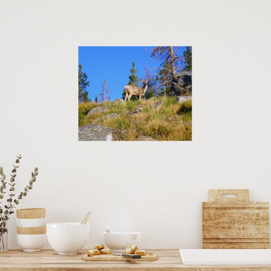 Rocky Mountain Deer Poster (Keuken)