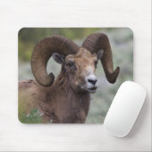 Rocky Mountain-dikhoornschaap-ram Muismat (Met muis)
