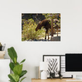 Rocky Mountain Eland Poster (Thuiskantoor)