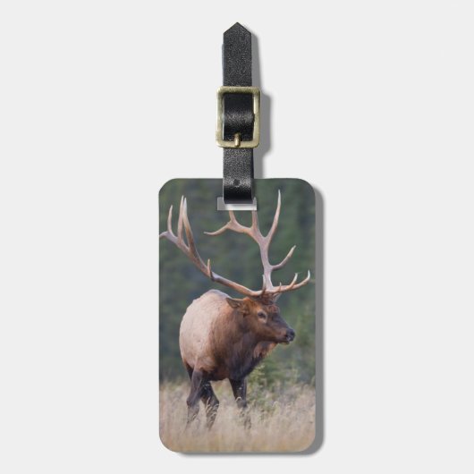 Rocky Mountain Elk Bagagelabel (Voorkant verticaal)