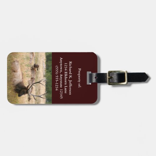 Rocky Mountain Elk Bagagelabel (Voorkant horizontaal)