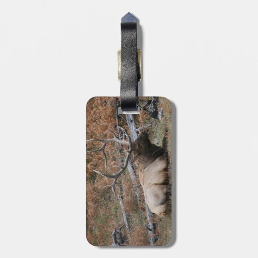 Rocky Mountain Elk Bagagelabel (Achterkant verticaal)
