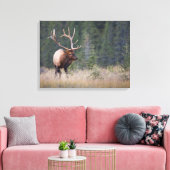 Rocky Mountain Elk Canvas Afdruk (Insitu (Woonkamer))