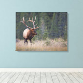 Rocky Mountain Elk Canvas Afdruk (Insitu (Houten vloer))
