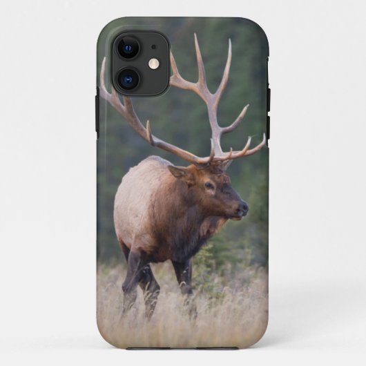 Rocky Mountain Elk Case-Mate iPhone Case (Achterkant)