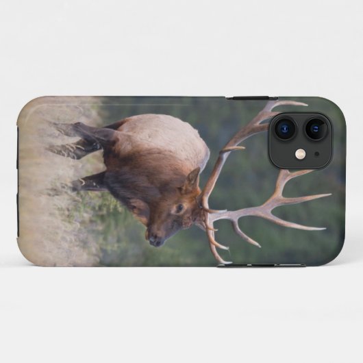 Rocky Mountain Elk Case-Mate iPhone Case (Achterkant (horizontaal))