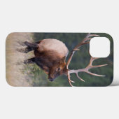 Rocky Mountain Elk Case-Mate iPhone Case (Achterkant (horizontaal))