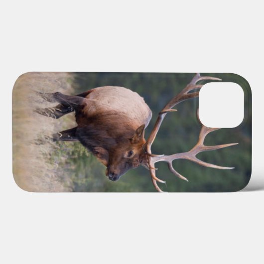 Rocky Mountain Elk Case-Mate iPhone Case (Achterkant (horizontaal))