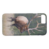 Rocky Mountain Elk Case-Mate iPhone Case (Achterkant (Horizontaal))