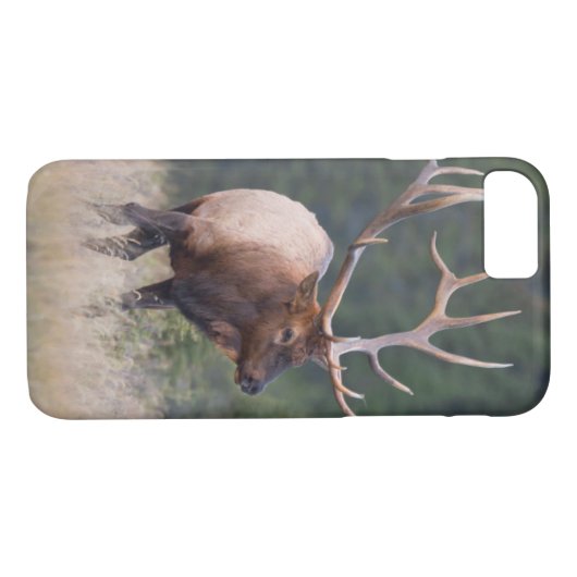 Rocky Mountain Elk Case-Mate iPhone Case (Achterkant (Horizontaal))