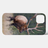 Rocky Mountain Elk Case-Mate iPhone Case (Achterkant (horizontaal))