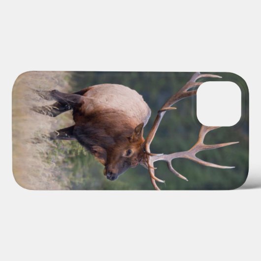 Rocky Mountain Elk Case-Mate iPhone Case (Achterkant (horizontaal))