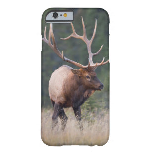 Rocky Mountain Elk Barely There iPhone 6 Hoesje