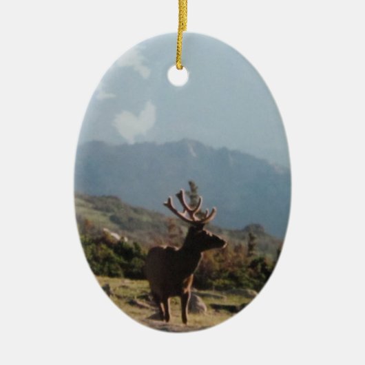 Rocky Mountain Elk Ceramic Ornament (Voorkant)