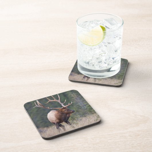 Rocky Mountain Elk Drankjes Onderzetter (Rechterzijde)