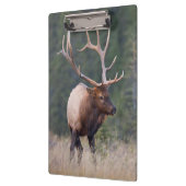 Rocky Mountain Elk Klembord (Links)