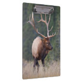 Rocky Mountain Elk Klembord (Rechts)