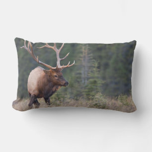 Rocky Mountain Elk Kussen