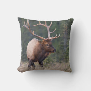 Rocky Mountain Elk Kussen