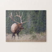Rocky Mountain Elk Legpuzzel (Horizontaal)