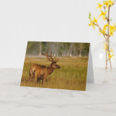 Rocky Mountain Elk | Nationaal Park Yellowstone Kaart (Gele Bloem)
