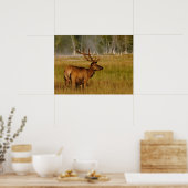 Rocky Mountain Elk | Nationaal Park Yellowstone Poster (Keuken)