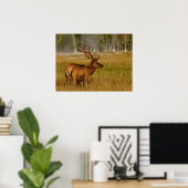 Rocky Mountain Elk | Nationaal Park Yellowstone Poster (Thuiskantoor)