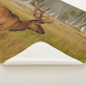 Rocky Mountain Elk | Nationaal Park Yellowstone Sherpa Deken (3/4)