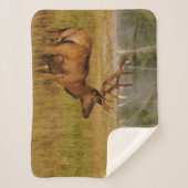Rocky Mountain Elk | Nationaal Park Yellowstone Sherpa Deken (Voorkant)