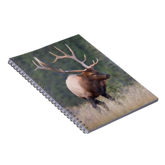 Rocky Mountain Elk Notitieboek (Rechterzijde)