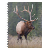 Rocky Mountain Elk Notitieboek (Voorkant)