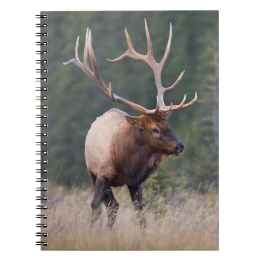 Rocky Mountain Elk Notitieboek (Voorkant)