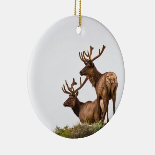 Rocky Mountain Elk Ornament (Rechts)