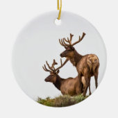 Rocky Mountain Elk Ornament (Voorkant)