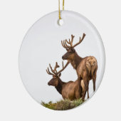 Rocky Mountain Elk Ornament (Links)