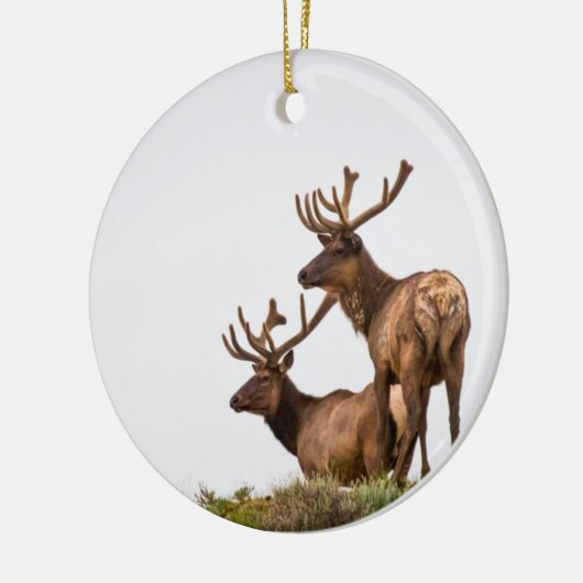 Rocky Mountain Elk Ornament (Links)